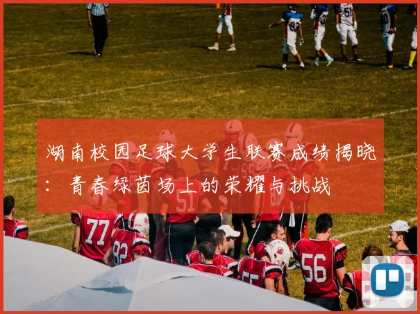 湖南校园足球大学生联赛成绩揭晓：青春绿茵场上的荣耀与挑战