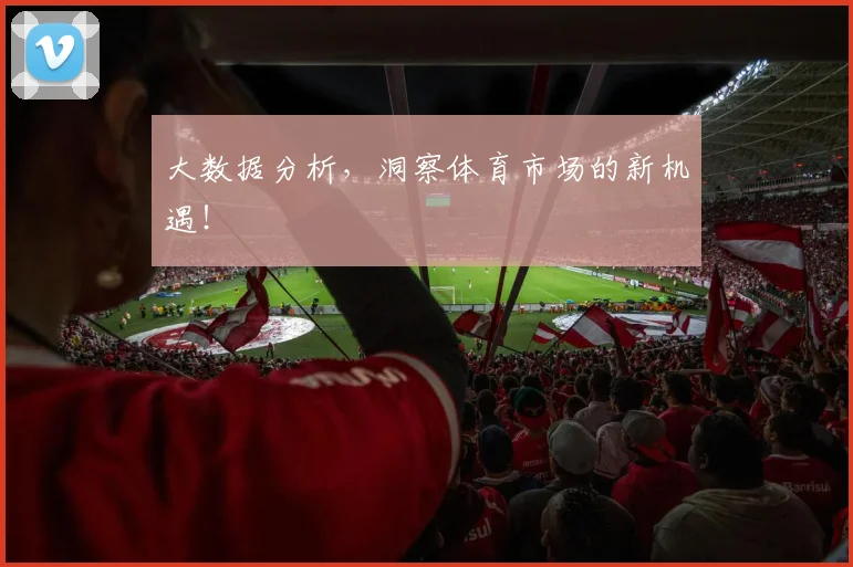 大数据分析，洞察体育市场的新机遇！