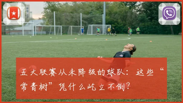 五大联赛从未降级的球队：这些“常青树”凭什么屹立不倒？