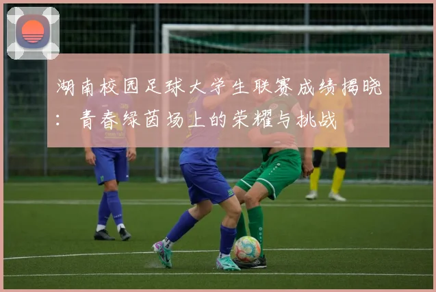 湖南校园足球大学生联赛成绩揭晓:青春绿茵场上的荣耀与挑战