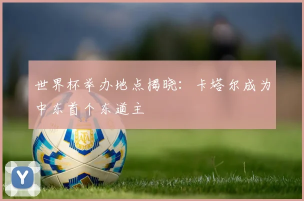 世界杯举办地点揭晓:卡塔尔成为中东首个东道主